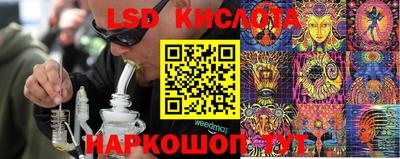 СК Новодвинск