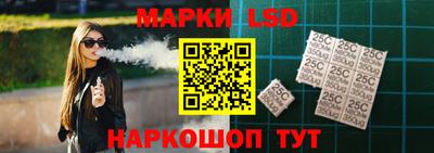 СК Новодвинск