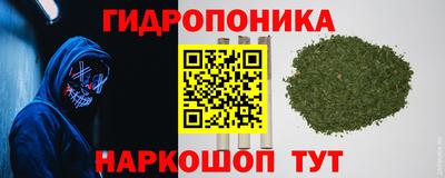 СК Новодвинск