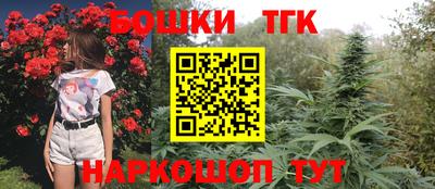 СК Новодвинск