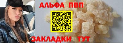 СК Новодвинск