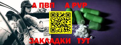 СК Новодвинск