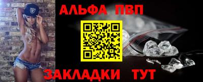СК Новодвинск