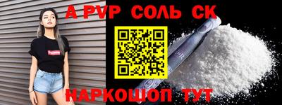 СК Новодвинск