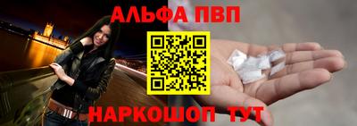 СК Новодвинск